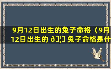 9月12日出生的兔子命格（9月12日出生的 🦟 兔子命格是什么）